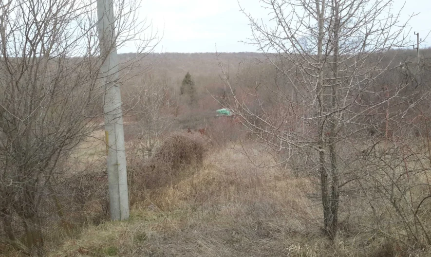 Парцел в с. Приселци -  - снимка 9 - Имоти Премиер