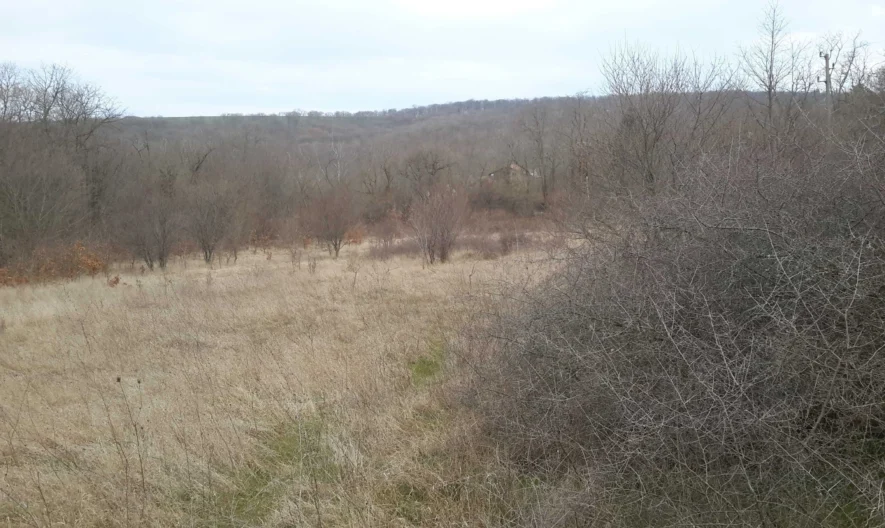 Парцел в с. Приселци -  - снимка 9 - Имоти Премиер