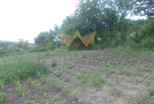 Агенция за недвижими имоти - Имоти Премиер - имот - 984765, Цена: 16200 EUR