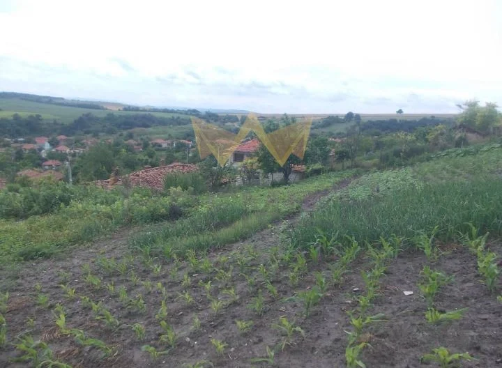 Парцел в с. Рояк, обл.Варна -  - снимка 4 - Имоти Премиер