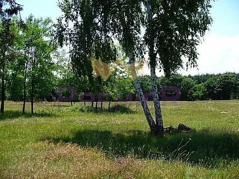 Парцел в с. Рудник -  - снимка 1 - Имоти Премиер