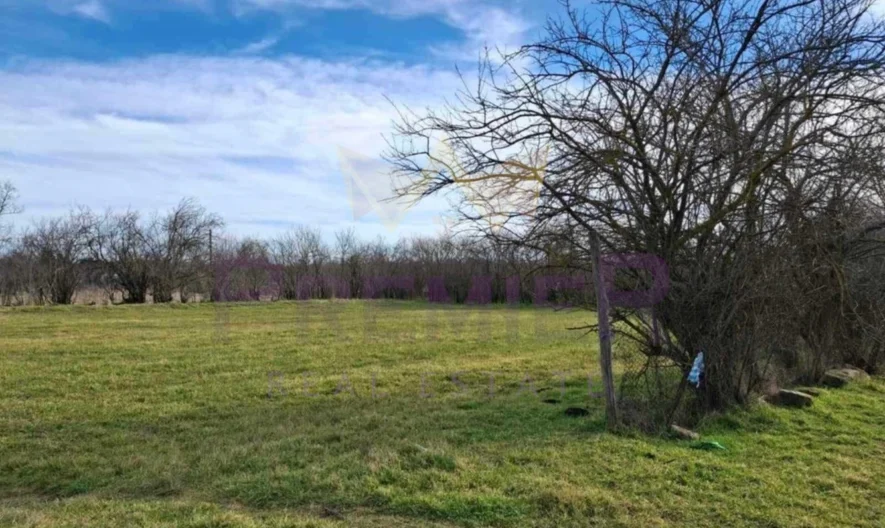 Парцел в с. Стефан Караджа, обл. Варна -  - снимка 2 - Имоти Премиер