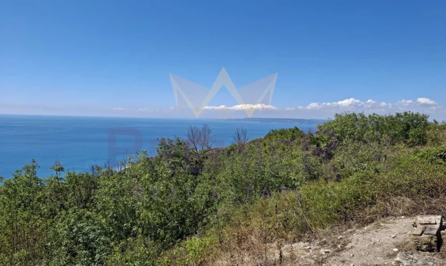 Парцел в с. Топола - - снимка 3 - Имоти Премиер