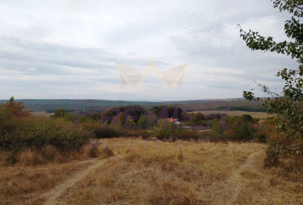 Агенция за недвижими имоти - Имоти Премиер - имот - 700033, Цена: 52000 EUR