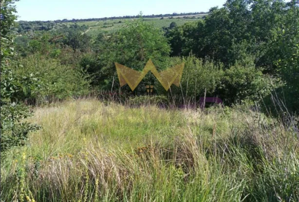 Агенция за недвижими имоти - Имоти Премиер - имот - 985040, Цена: 45000 EUR