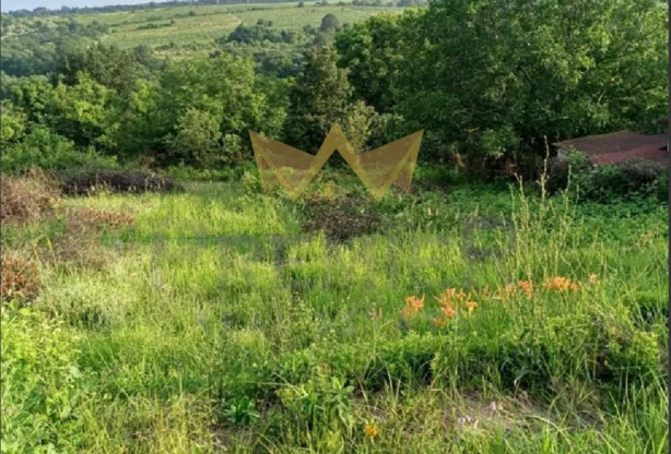 Агенция за недвижими имоти - Имоти Премиер - имот - 985040, Цена: 45000 EUR