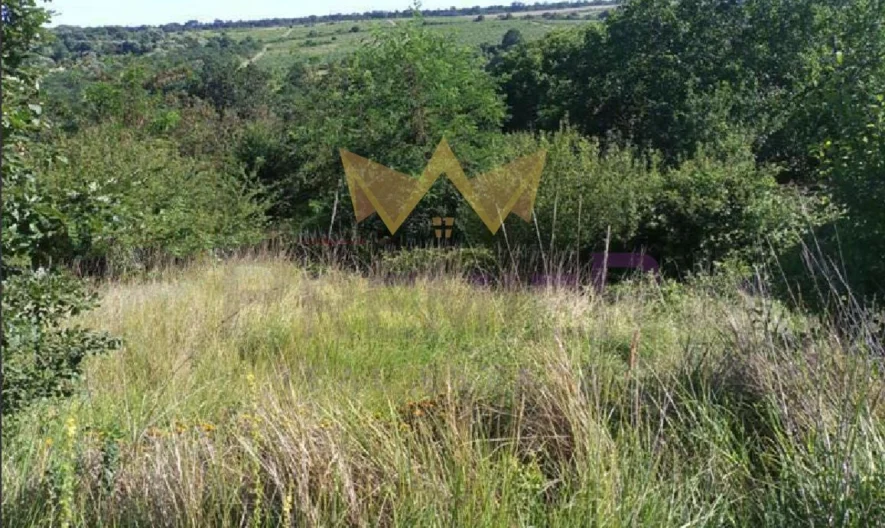 Парцел в с. Звездица -  - снимка 1 - Имоти Премиер