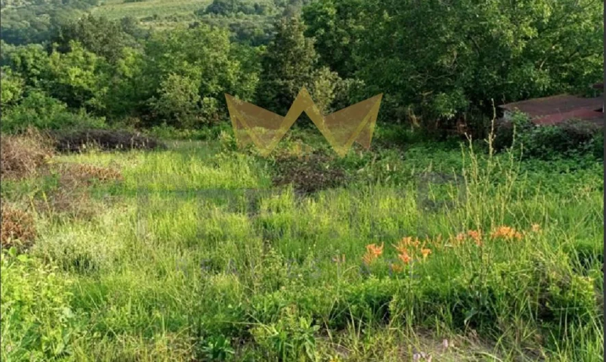 Парцел в с. Звездица - - снимка 2 - Имоти Премиер