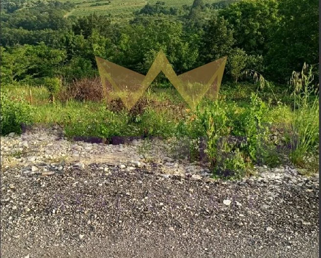 Парцел в с. Звездица - - снимка 4 - Имоти Премиер