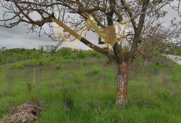 Агенция за недвижими имоти - Имоти Премиер - имот - 992956, Цена: 43000 EUR