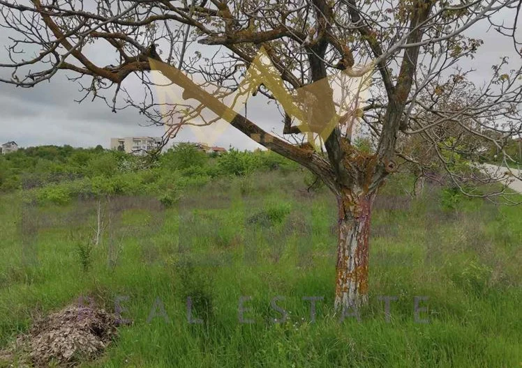 Парцел в с.Близнаци - - снимка 1 - Имоти Премиер