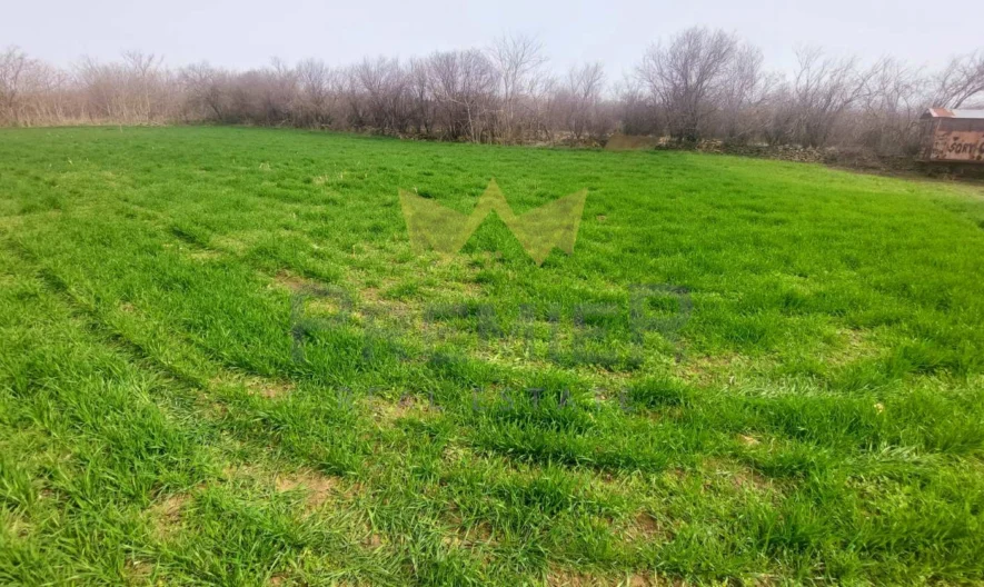 Парцел в с.Дуранкулак, област Добрич -  - снимка 2 - Имоти Премиер