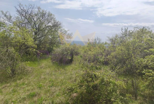 Агенция за недвижими имоти - Имоти Премиер - имот - 1016448, Цена: 29990 EUR