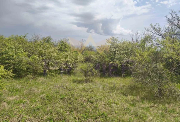 Агенция за недвижими имоти - Имоти Премиер - имот - 1016448, Цена: 29990 EUR