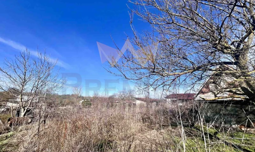 Парцел в село Бранище -  - снимка 1 - Имоти Премиер