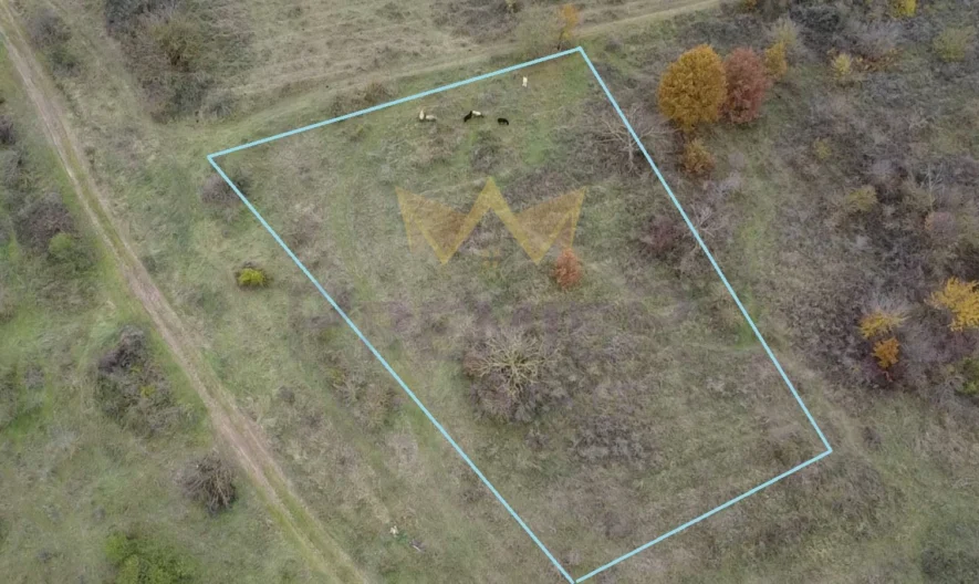 Парцел в село Константиново -  - снимка 3 - Имоти Премиер