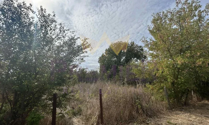 Парцел в Село Царичино -  - снимка 1 - Имоти Премиер