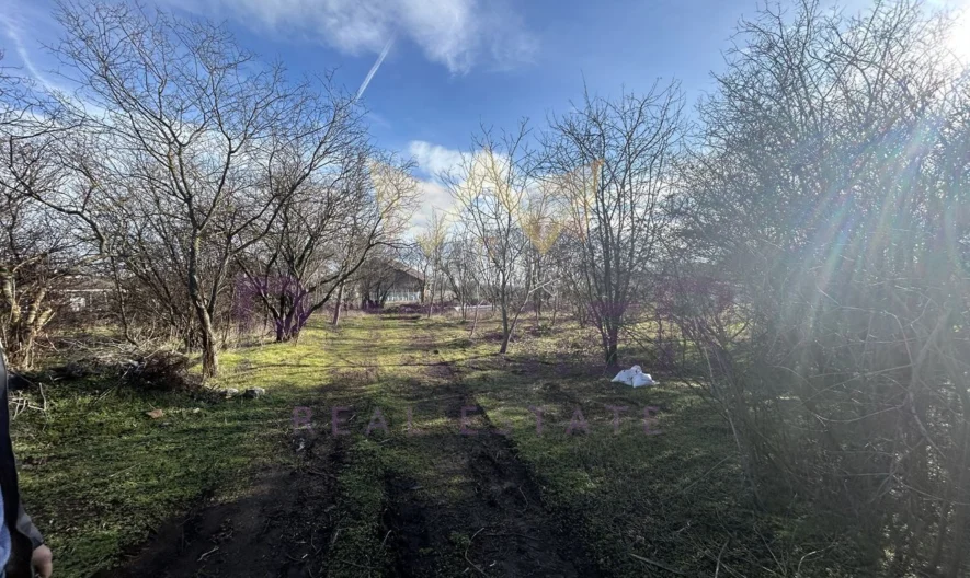 Парцел в село Царичино - - снимка 3 - Имоти Премиер