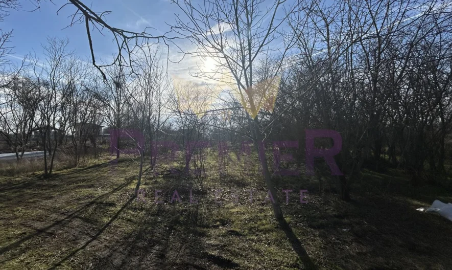 Парцел в село Царичино - - снимка 4 - Имоти Премиер