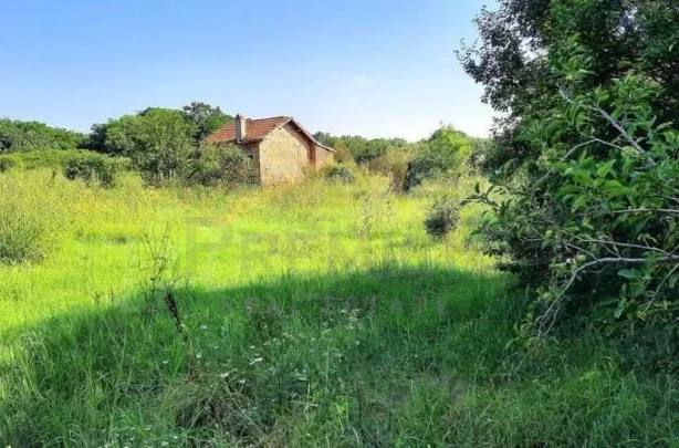 Агенция за недвижими имоти - Имоти Премиер - имот - 989658, Цена: 10000 EUR