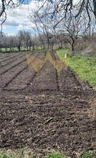 Парцел в село Житница - - снимка 1 - Имоти Премиер