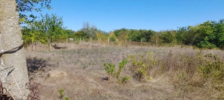 Парцел в с.Казашка река, обл. Варна -  - снимка 3 - Имоти Премиер