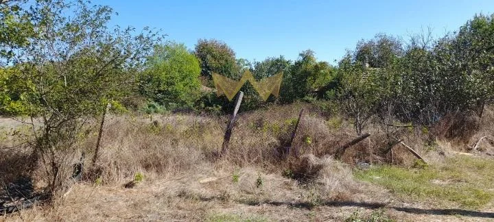 Парцел в с.Казашка река, обл. Варна -  - снимка 4 - Имоти Премиер