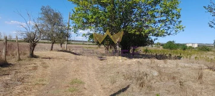 Парцел в с.Казашка река, обл. Варна - - снимка 7 - Имоти Премиер