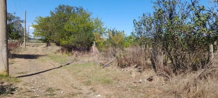 Парцел в с.Казашка река, обл. Варна - - снимка 8 - Имоти Премиер