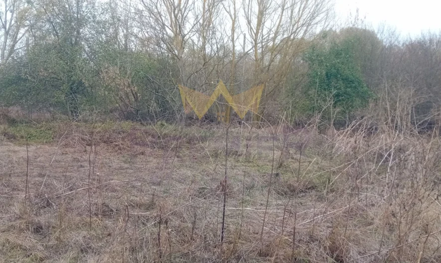 Парцел в с.Николаевка, обл.Варна - - снимка 1 - Имоти Премиер