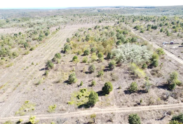 Агенция за недвижими имоти - Имоти Премиер - имот - 1076297, Цена: 75000 EUR