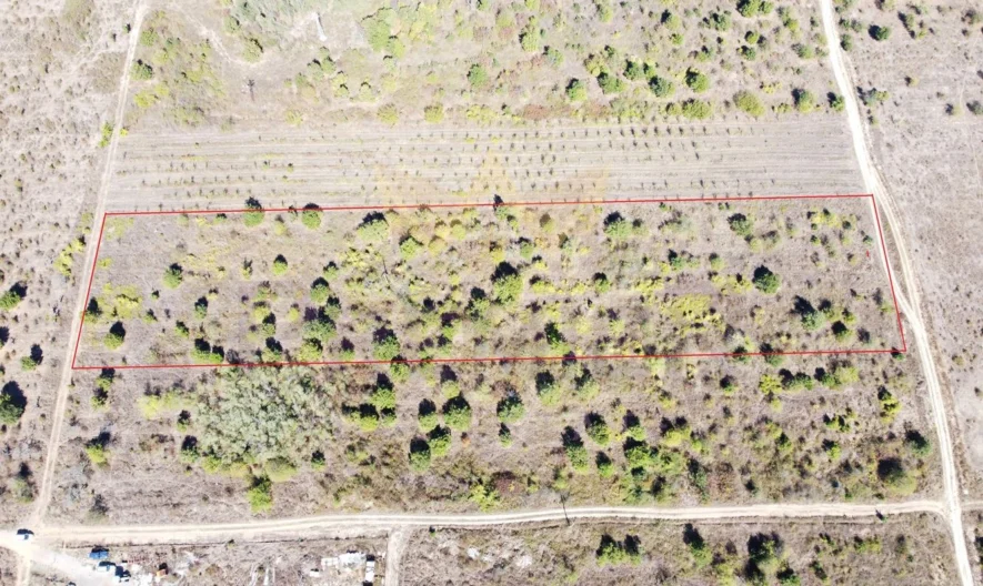 Парцел в с.Приселци, обл.Варна -  - снимка 1 - Имоти Премиер