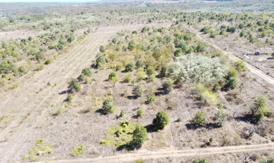 Парцел в с.Приселци, обл.Варна -  - снимка 2 - Имоти Премиер