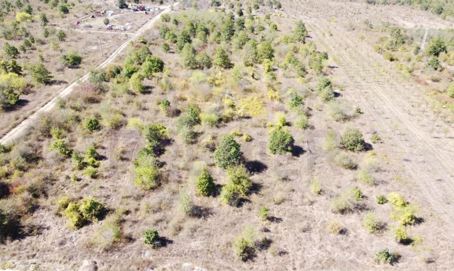 Парцел в с.Приселци, обл.Варна -  - снимка 3 - Имоти Премиер