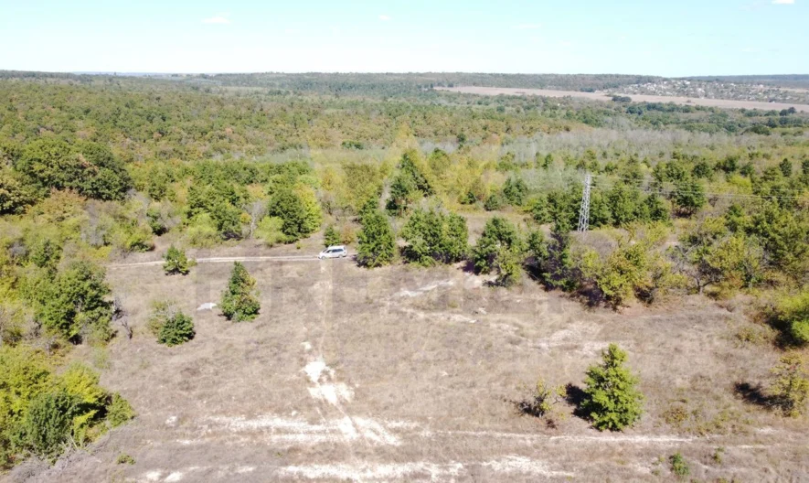 Парцел в с.Приселци, обл.Варна -  - снимка 4 - Имоти Премиер