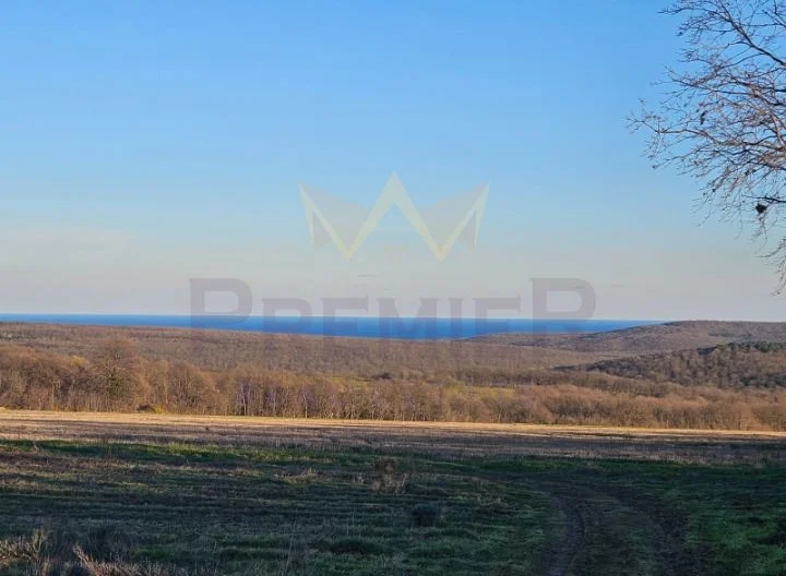 Парцел в с.Приселци, обл.Варна - - снимка 4 - Имоти Премиер