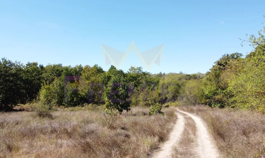 Парцел в с.Приселци, обл.Варна -  - снимка 5 - Имоти Премиер