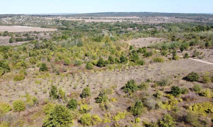 Парцел в с.Приселци, обл.Варна -  - снимка 6 - Имоти Премиер