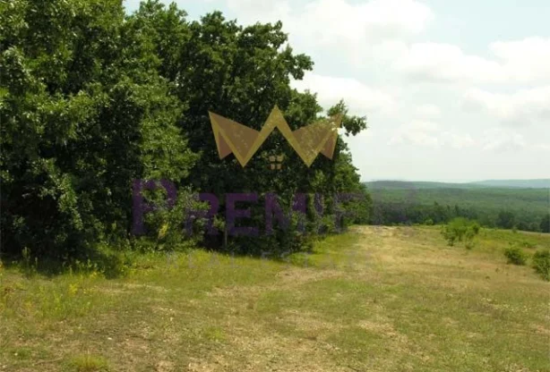 Агенция за недвижими имоти - Имоти Премиер - имот - 978609, Цена: 29999 EUR