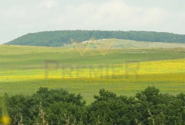 Агенция за недвижими имоти - Имоти Премиер - имот - 978609, Цена: 29999 EUR