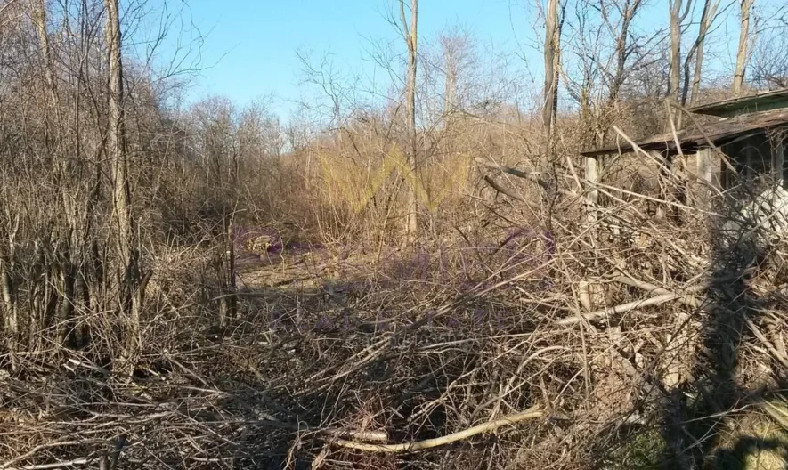 Парцел в с.Щипско, обл.Варна - - снимка 3 - Имоти Премиер