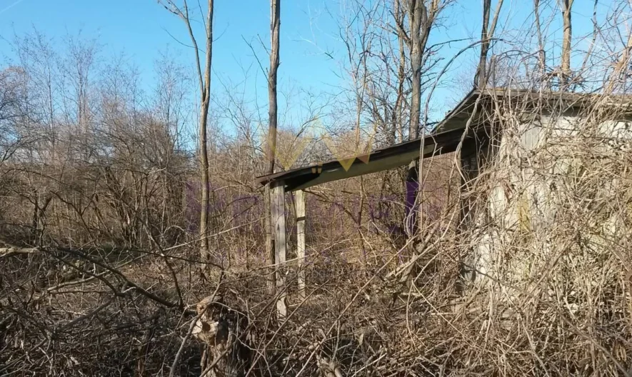 Парцел в с.Щипско, обл.Варна - - снимка 5 - Имоти Премиер