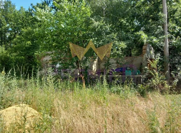 Парцел в с.Водица, обл.Варна - - снимка 3 - Имоти Премиер