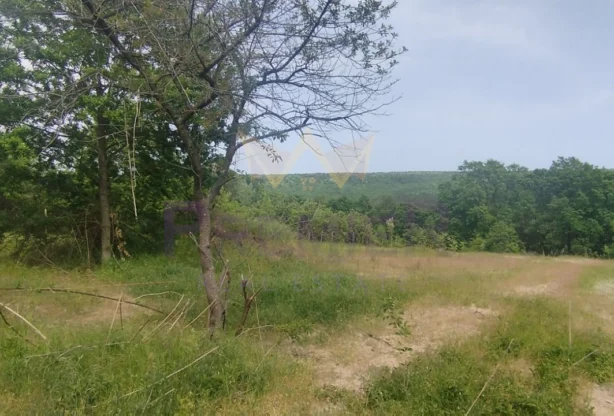 Агенция за недвижими имоти - Имоти Премиер - имот - 958836, Цена: 83400 EUR