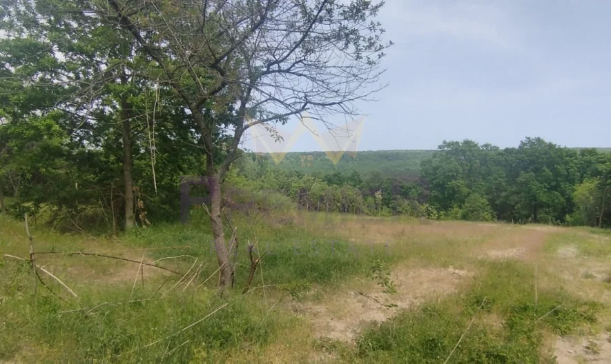 Парцел в с.Звездица -  - снимка 3 - Имоти Премиер