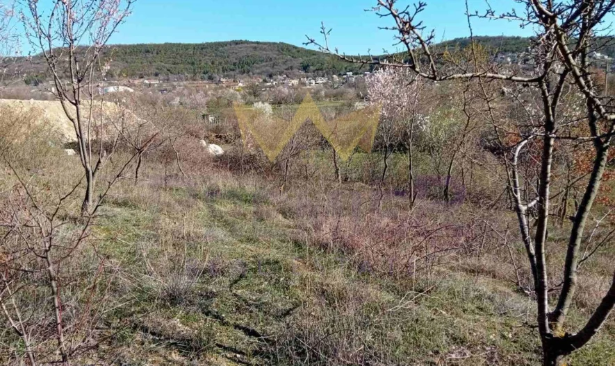 Парцел във Виница -  - снимка 3 - Имоти Премиер