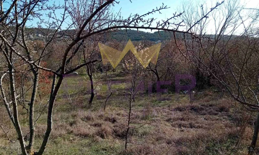 Парцел във Виница -  - снимка 5 - Имоти Премиер