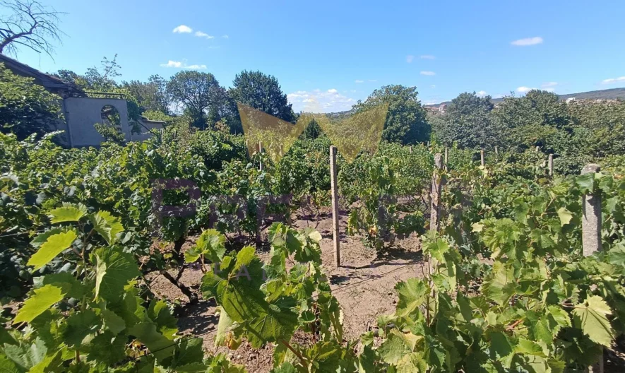 Парцел Виница -  - снимка 16 - Имоти Премиер