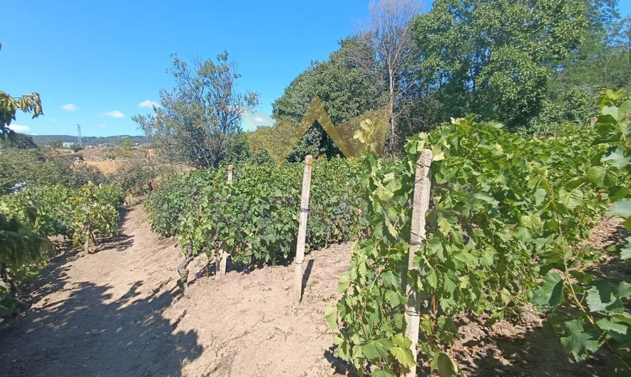 Парцел Виница -  - снимка 20 - Имоти Премиер