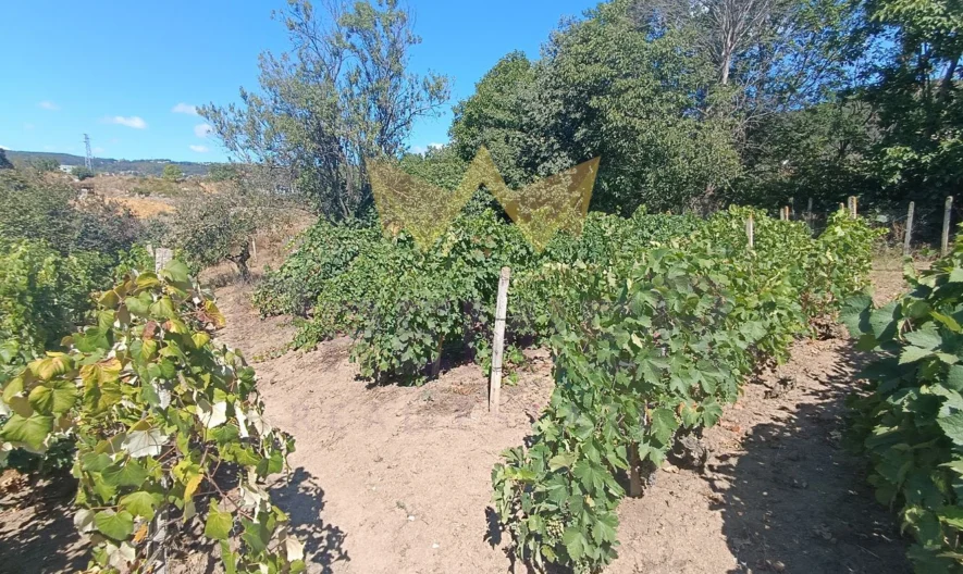 Парцел Виница -  - снимка 21 - Имоти Премиер